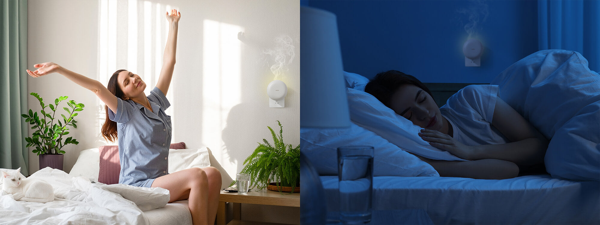 Need essential oil to energize mornings and calm nights? - SenseFlow