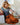 Accompany and create in the aromatherapy atmosphere of essential oils - SenseFlow