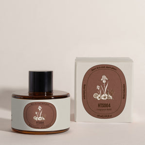 HT N°4-SF101/SF101S